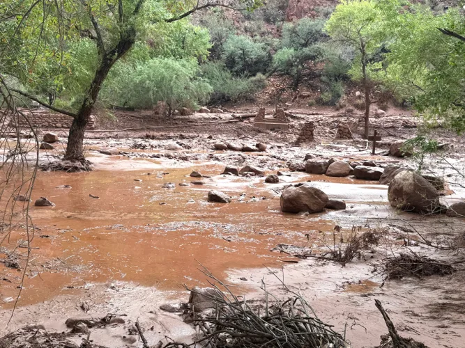 Dozens evacuated from Grand Canyon